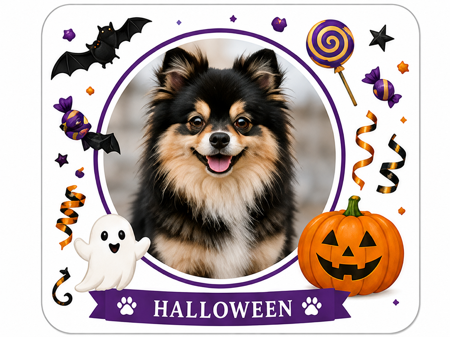 Halloween themed pet treat border