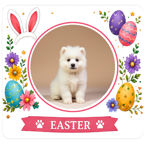 Easter themed pet treat border